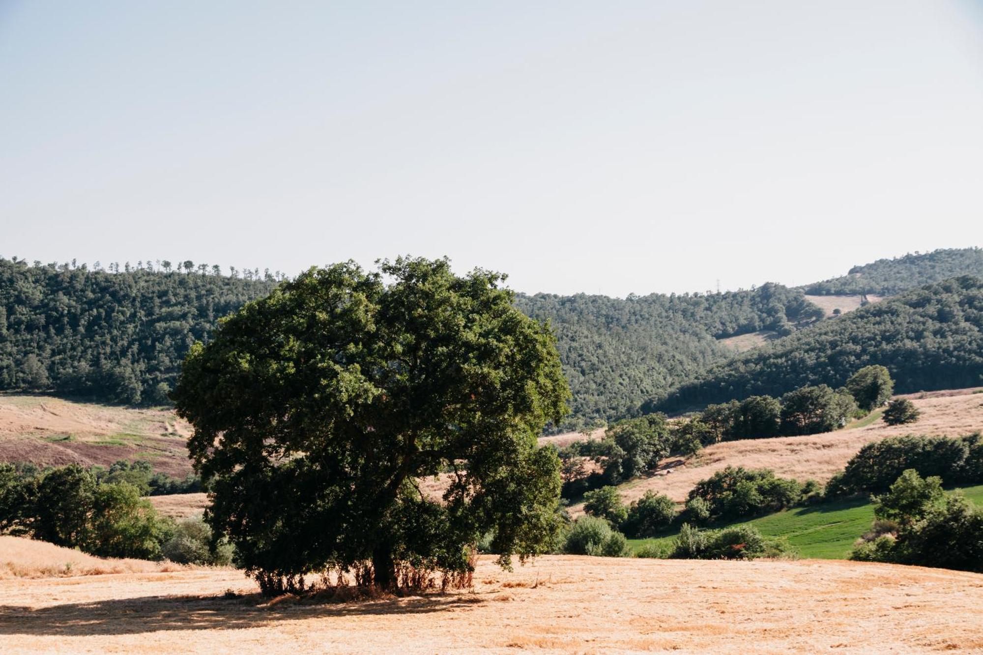 Poggio Al Vento Villa Manciano Dış mekan fotoğraf